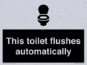 this-toilet-flushes-automatically~